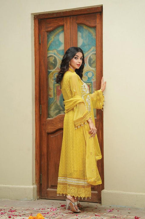 Lush Embroidered Chiffon 3 Piece Suit L-121