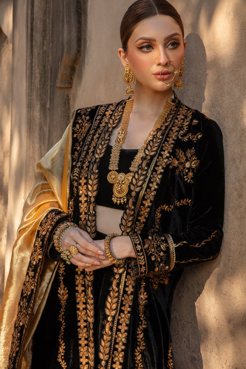 Rang Rasiya Embroidered Velvet 3 piece suit HEER
