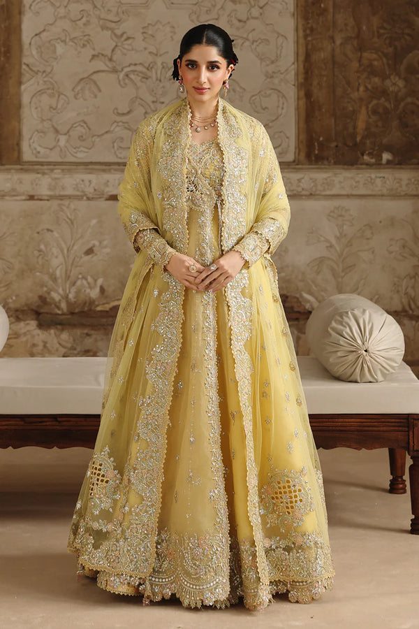 Qalamkar Embroidered Organza Suit RH-06 HOOR