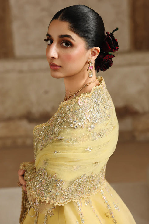 Qalamkar Embroidered Organza Suit RH-06 HOOR