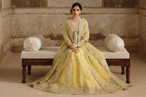 Qalamkar Embroidered Organza Suit RH-06 HOOR