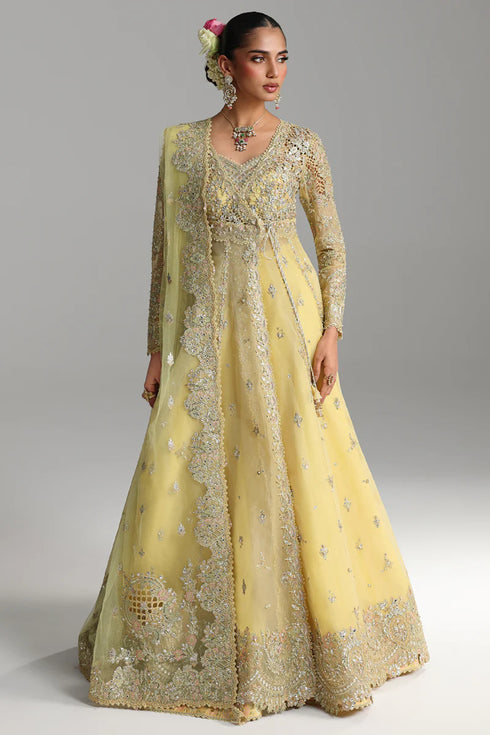 Qalamkar Embroidered Organza Suit RH-06 HOOR