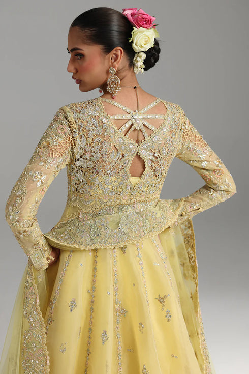 Qalamkar Embroidered Organza Suit RH-06 HOOR