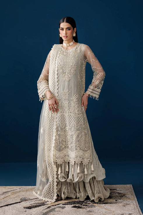 Alizeh Embroidered Net Suit AF-NHM-4056-Velor
