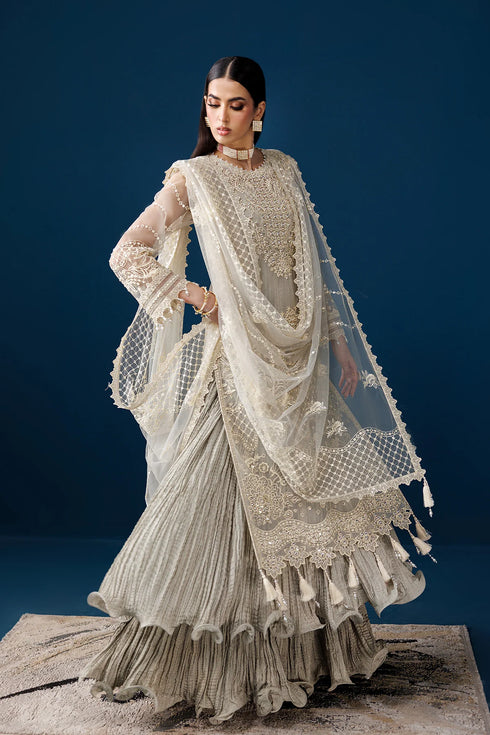 Alizeh Embroidered Net Suit AF-NHM-4056-Velor