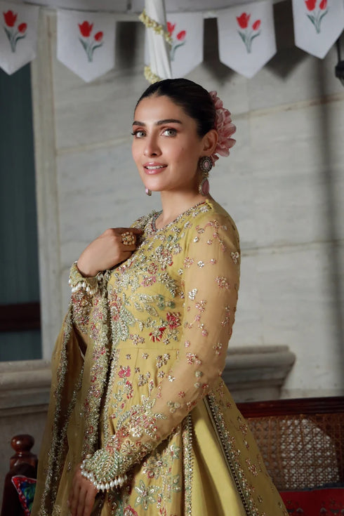 Gulmina Embroidered Chiffon Suit Ayeza