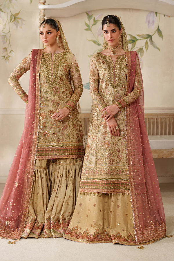 Baroque Embroidered Zari Net Suit CH14-02