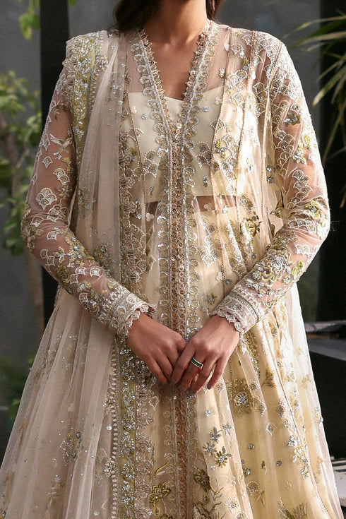 Afrozeh Embroidered Net Suit Fleurie