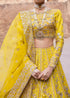 Embroidered Tussel Silk Net Bridal Dress Nureh