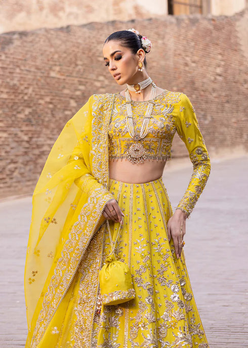 Embroidered Tussel Silk Net Bridal Dress Nureh