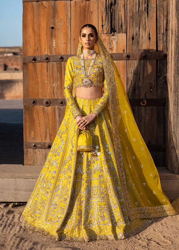 Embroidered Tussel Silk Net Bridal Dress Nureh