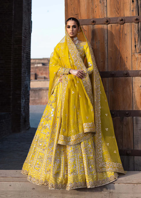 Embroidered Tussel Silk Net Bridal Dress Nureh