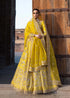 Embroidered Tussel Silk Net Bridal Dress Nureh