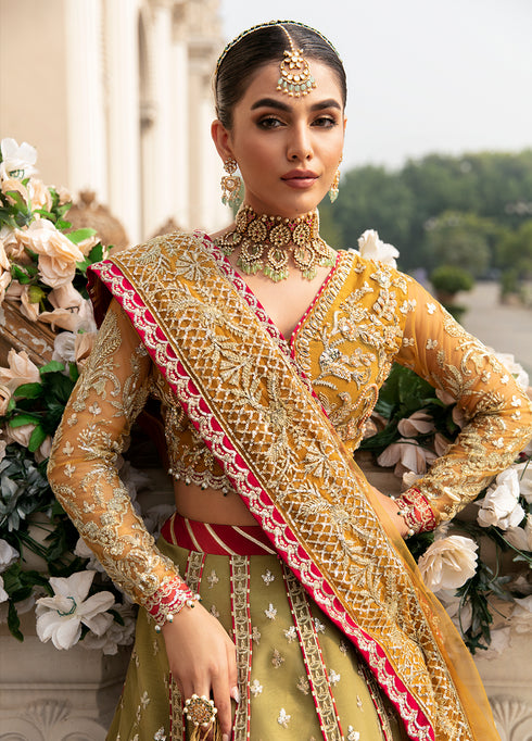 Gulaal Embroidered Net 3 Piece suit DIYA