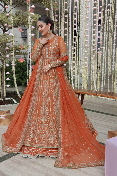 Gulmina Embroidered Chiffon Suit Anaya