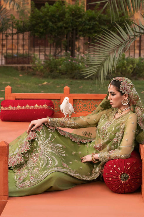 Akbar Aslam Embroidered Organza Suit Ambenrin