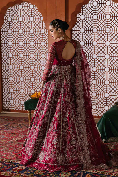 Akbar Aslam Embroidered Organza Suit Jahanara