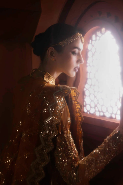 Akbar Aslam Embroidered Organza Suit Zareen