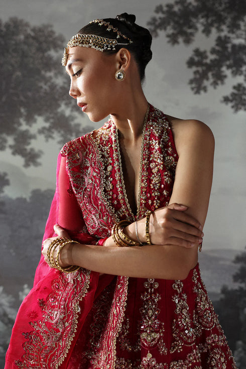 Afrozeh Embroidered Organza Suit Claude