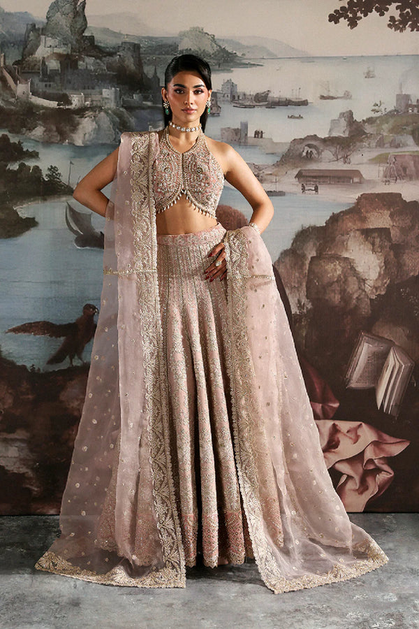 Zarposh Embroidered Organza Suit CELESTE