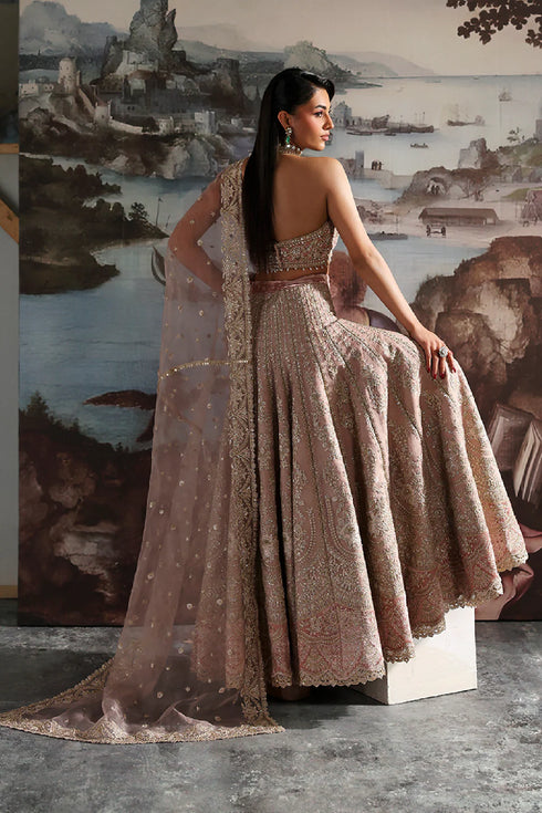 Zarposh Embroidered Organza Suit CELESTE