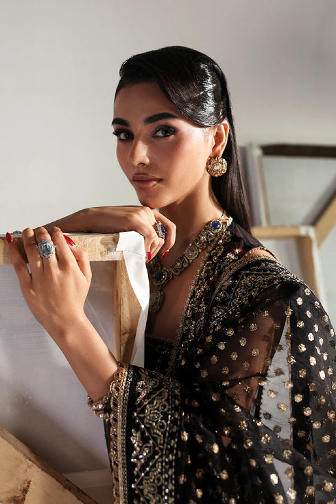 Zarposh Embroidered Organza Suit SORREL