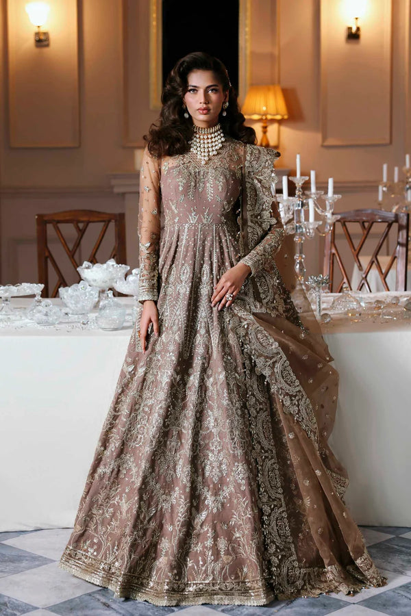 Akbar Aslam Embroidered Net Suit Noorzaib