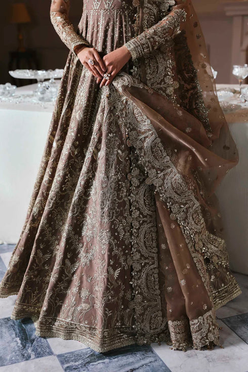 Akbar Aslam Embroidered Net Suit Noorzaib