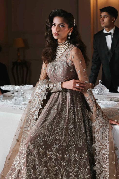 Akbar Aslam Embroidered Net Suit Noorzaib