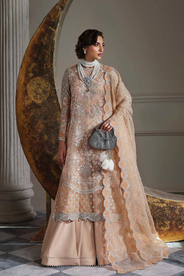 Akbar Aslam Embroidered Organza Suit Aabroza