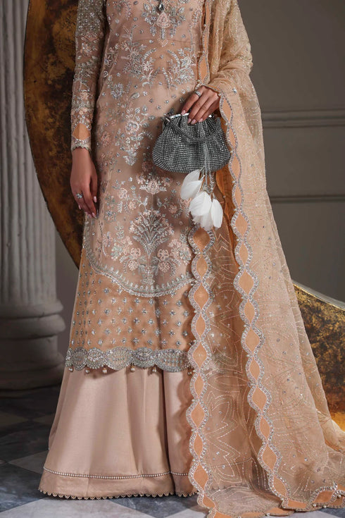 Akbar Aslam Embroidered Organza Suit Aabroza