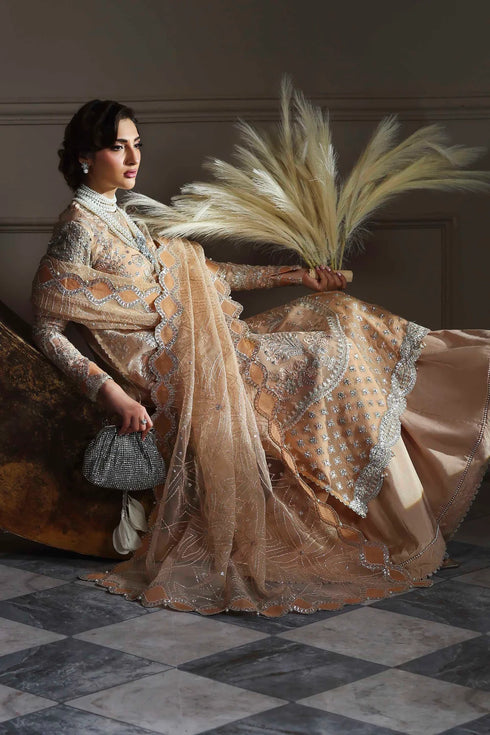 Akbar Aslam Embroidered Organza Suit Aabroza