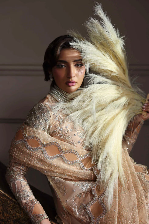 Akbar Aslam Embroidered Organza Suit Aabroza