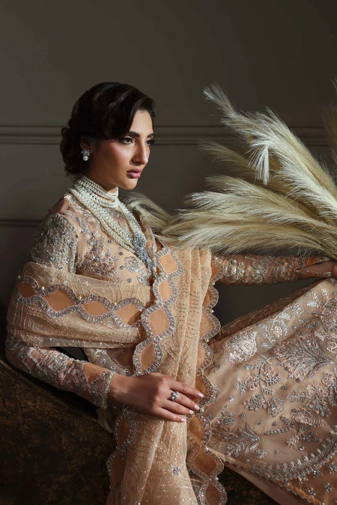 Akbar Aslam Embroidered Organza Suit Aabroza