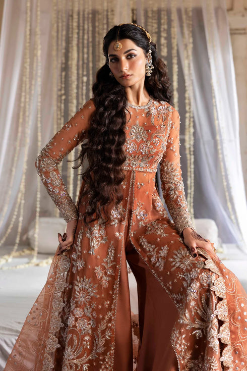 Akbar Aslam Embroidered Organza Suit Meherun