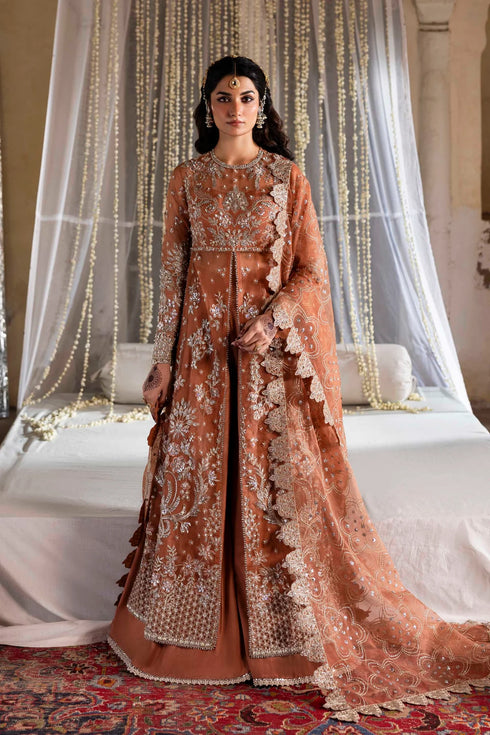 Akbar Aslam Embroidered Organza Suit Meherun