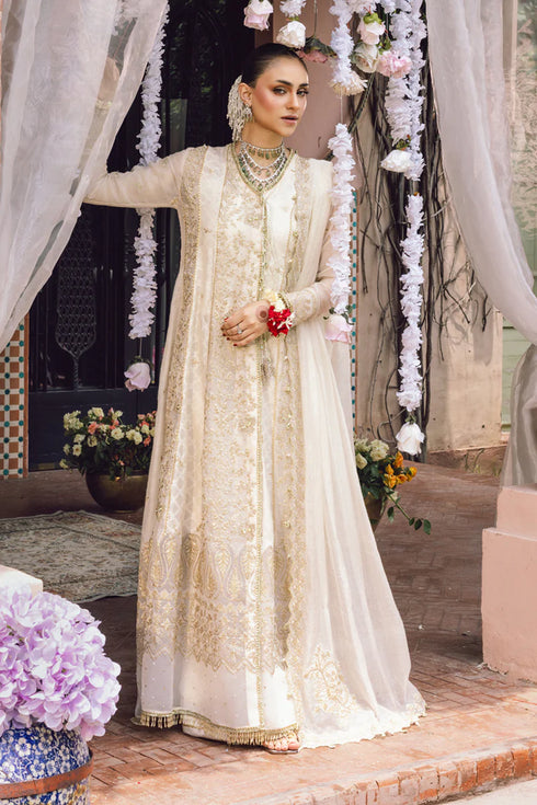 Rang Rasiya Embroidered Cotton Net Suit Neha