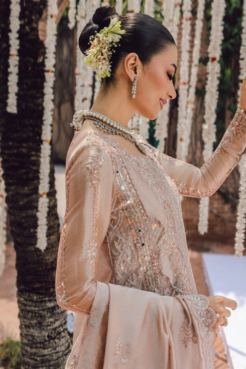 Rang Rasiya Embroidered Zari Organza Suit Nayab