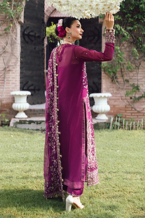 Rang Rasiya Embroidered Zari Organza Suit Nayab