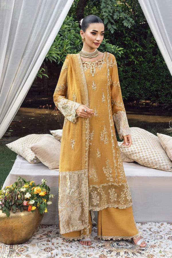 Rang Rasiya Embroidered Cotton Net Suit Misha