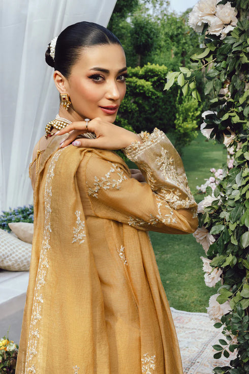 Rang Rasiya Embroidered Cotton Net Suit Misha