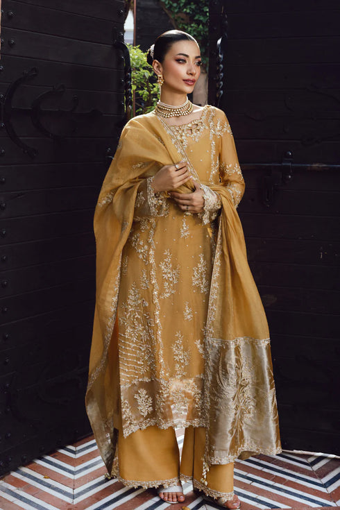 Rang Rasiya Embroidered Cotton Net Suit Misha