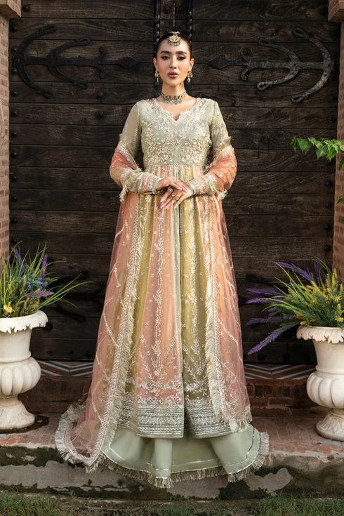Rang Rasiya Embroidered Chiffon Suit Amil