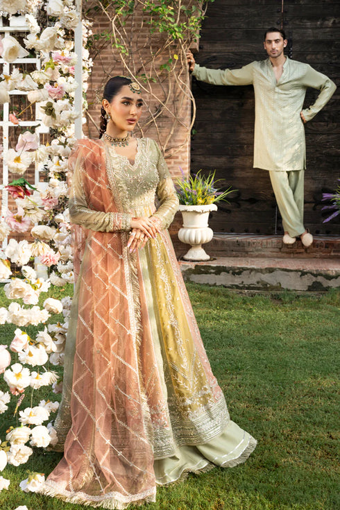 Rang Rasiya Embroidered Chiffon Suit Amil