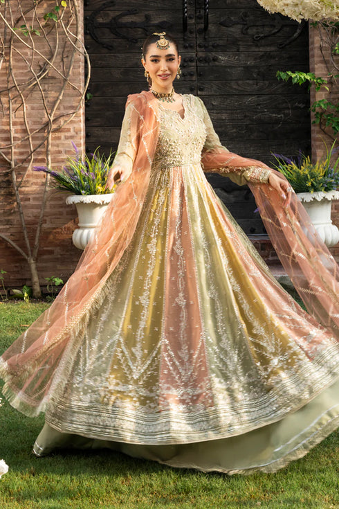 Rang Rasiya Embroidered Chiffon Suit Amil