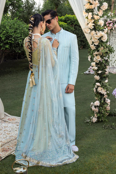 Rang Rasiya Embroidered Organza Suit Samara