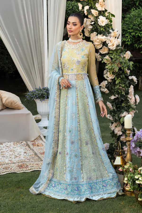 Rang Rasiya Embroidered Organza Suit Samara