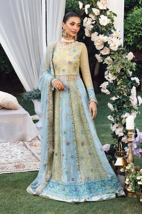 Rang Rasiya Embroidered Organza Suit Samara