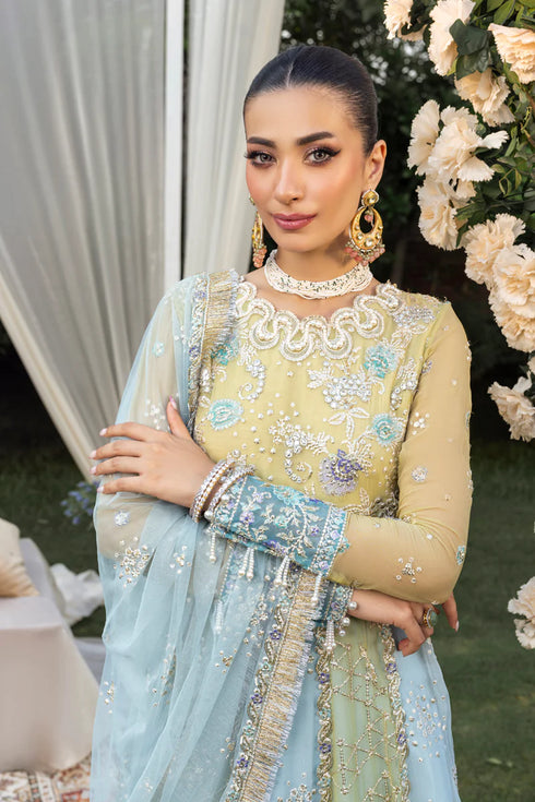 Rang Rasiya Embroidered Organza Suit Samara