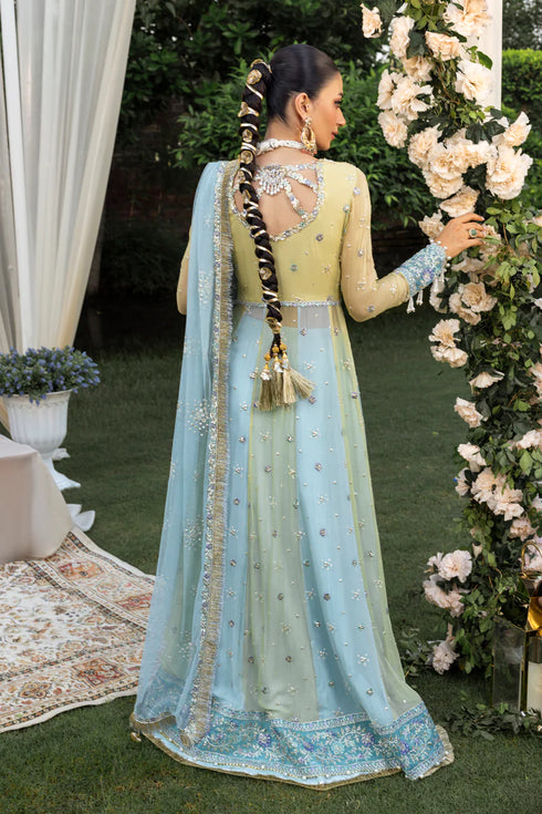 Rang Rasiya Embroidered Organza Suit Samara